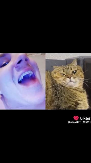 ха ха ха ха 🤣🤣🤣🤣🤣🤣🤣🤣 смотреть онлайн