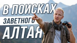 Поездка на Алтай на машине в самый разгар сезона! Чемальский район