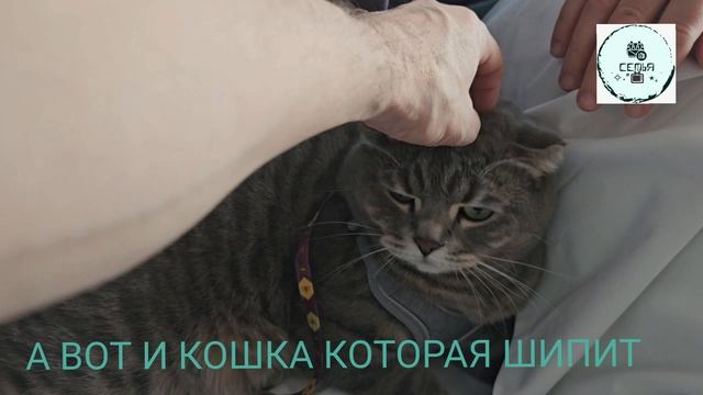 ОБЗОР ПОЕЗД 96 СРАВНЕНИЕ ПЛАТЦКАРТ И КУПЕ РАЗНЫХ КЛАССОВ 2К, 2Ш И ДРУГИЕ КЛАССЫ ПРОВЕЛИ 2 ПРИНЦЕССЫ смотреть онлайн