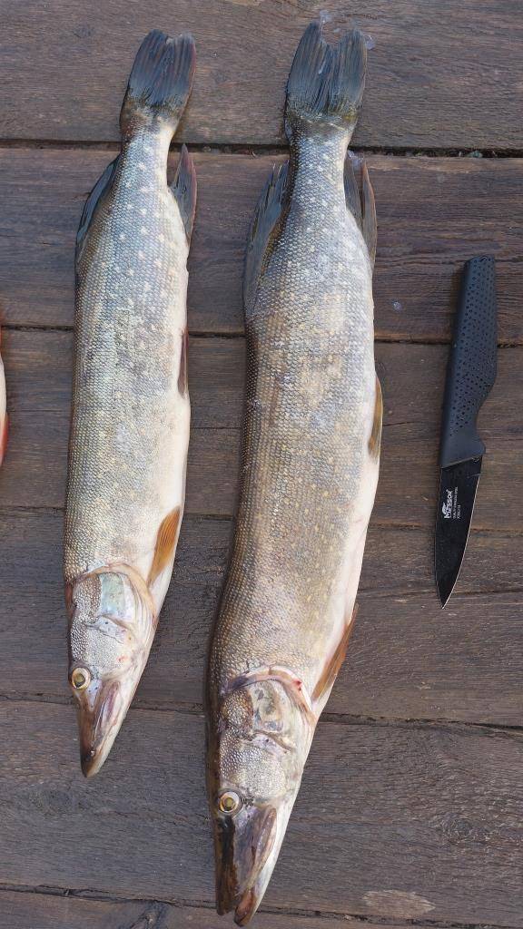 С ДУШОЙ И НА ВКУС