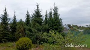 video-2025-08-17-20-58-17_kmGhfSh3