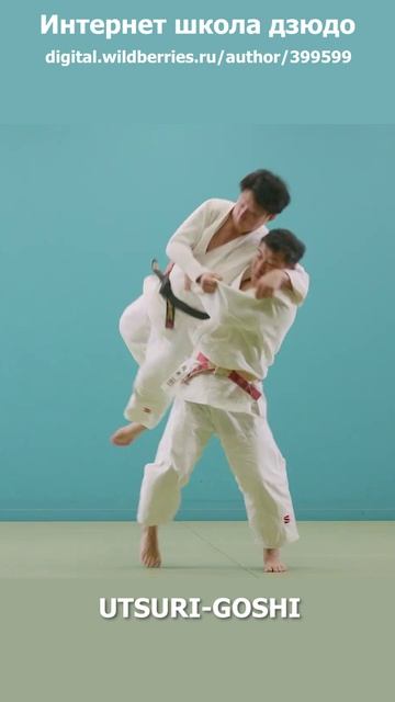 47Интернет школа дзюдо. Бросок через бедро с подбивом сбоку.UTSURI-GOSHI.