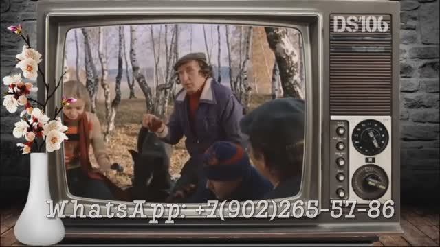 Макет презентации для поздравления с юбилеем или днём рождения смотреть онлайн