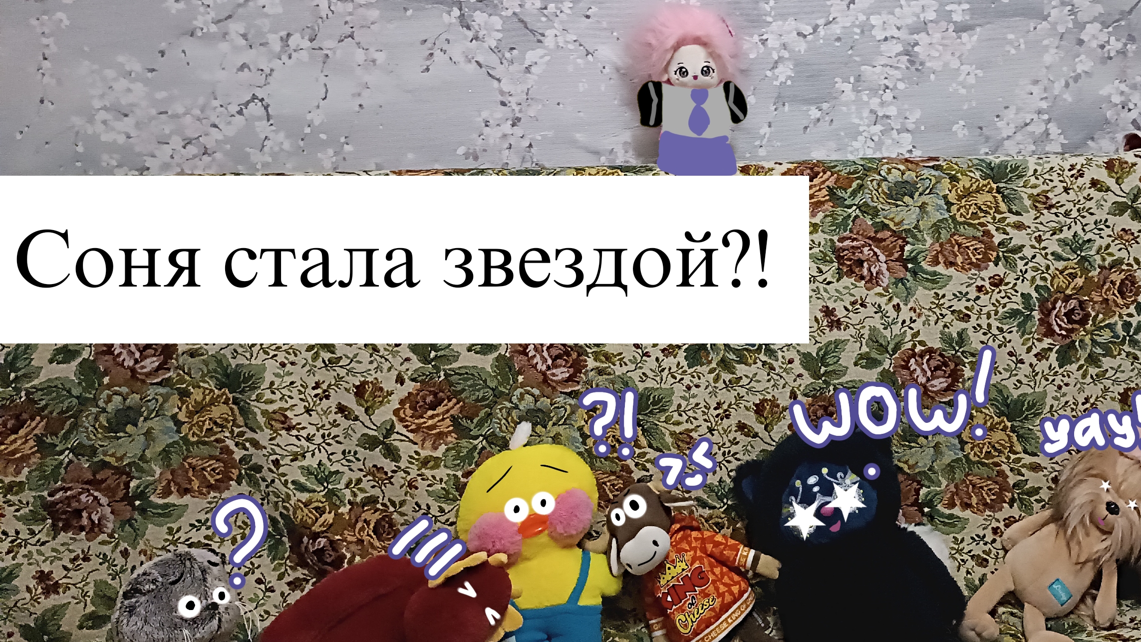 БАСИК ПОПАЛ НА КОНЦЕРТ К СОНЕ?!Соня стала звездой!