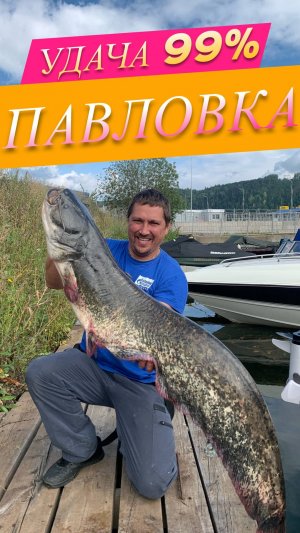 РЫБОЛОВНАЯ УДАЧА -99 % - СОМ - ПАВЛОВКА - БАШКИРИЯ