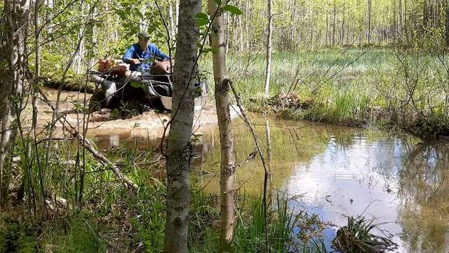 квадрик покатушки