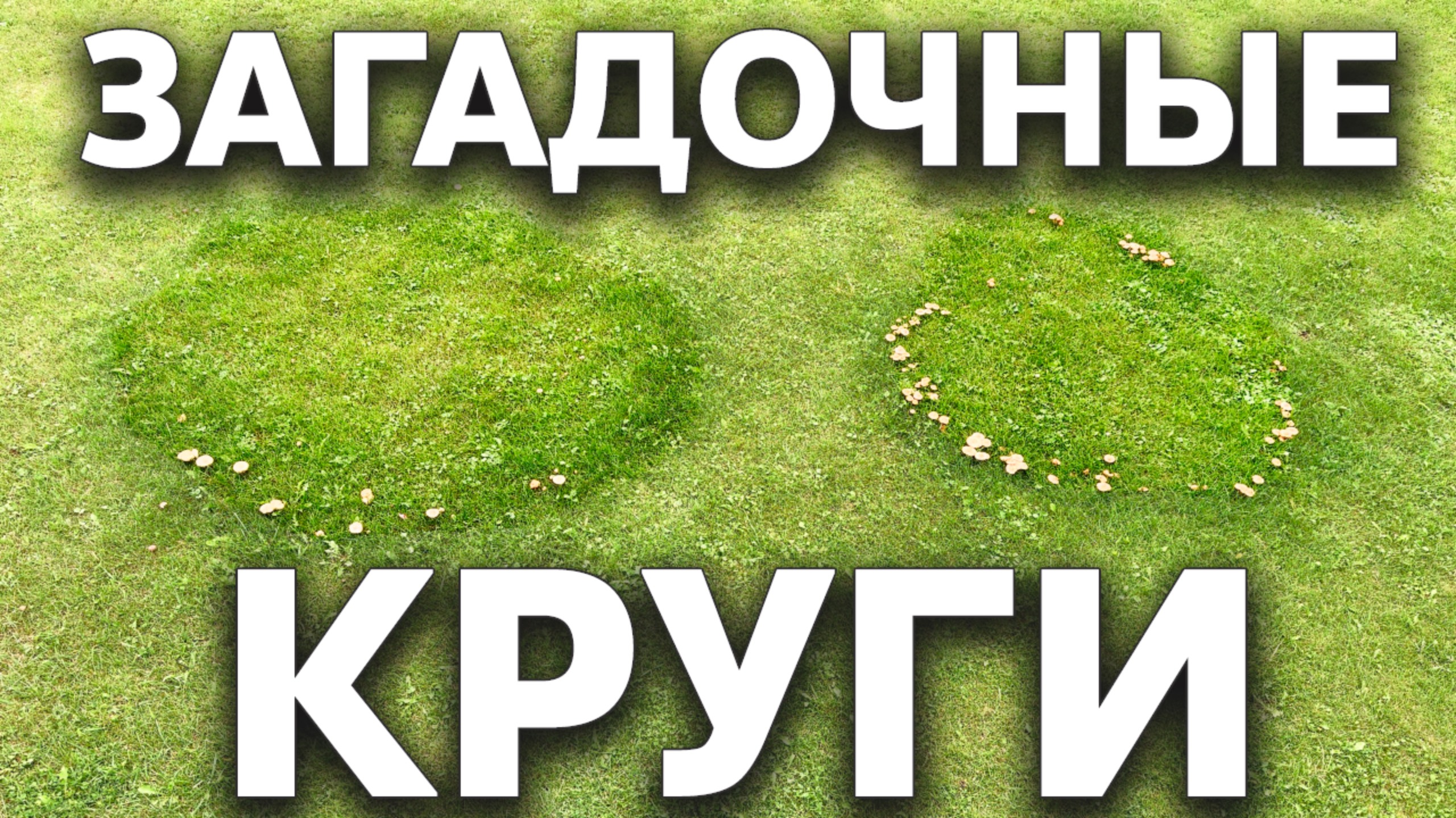 Загадочные круги на газоне 👽 Что это? смотреть онлайн