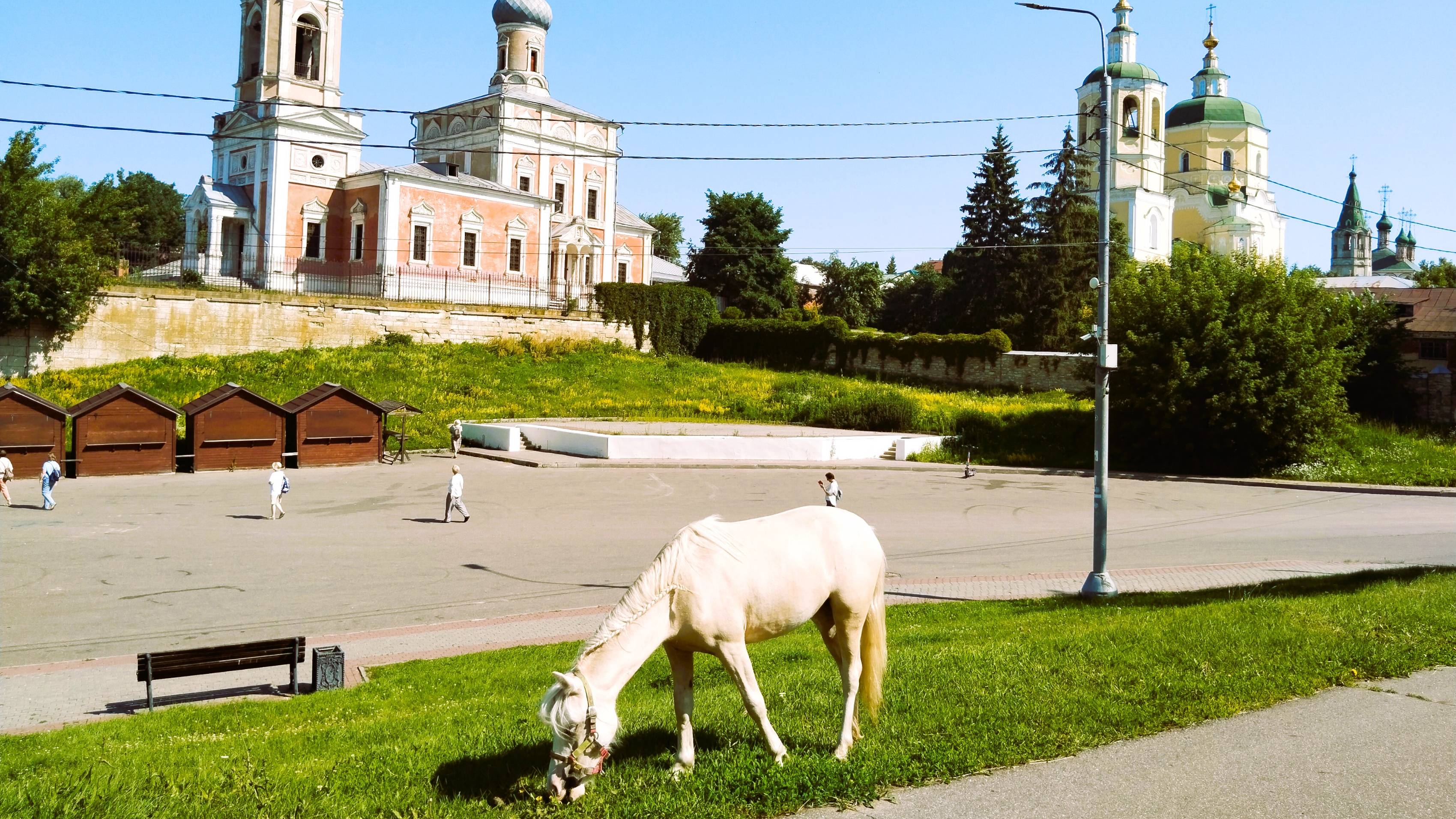 Серпухов ( флора и фауна) смотреть онлайн