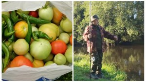 "Жизнь на пенсии"... Мои будни скоротечны ( собрала помидоры и пошла на рыбалку).