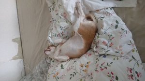 выполняем задания