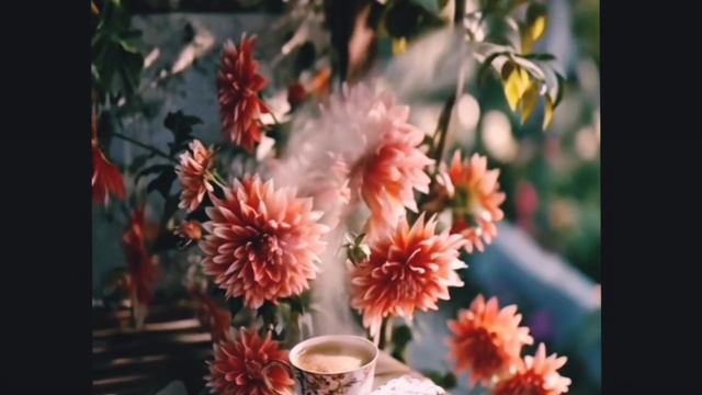 Волшебство природы . 2025 год. смотреть онлайн