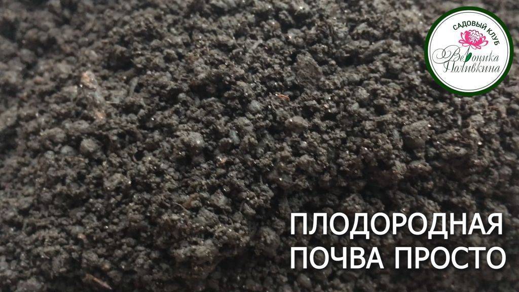 ПРОСТОЙ СПОСОБ ПОВЫСИТЬ ПЛОДОРОДИЕ ПОЧВЫ НА УЧАСТКЕ смотреть онлайн