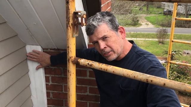 Пчёлы против человека: битва за улей и как мы чуть не сгорели на работе