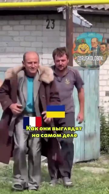 Зеленский собрал целую группу поддержки для завтрашней встречи с Трампом смотреть онлайн