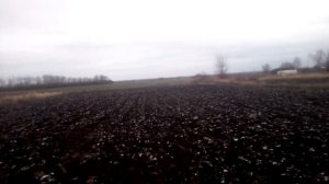 отчёт по огороду за 4 декабря