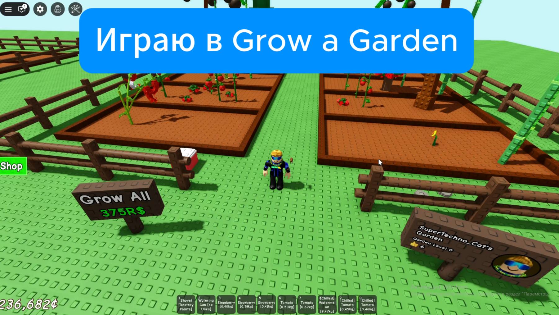 Играю в Grow a Garden