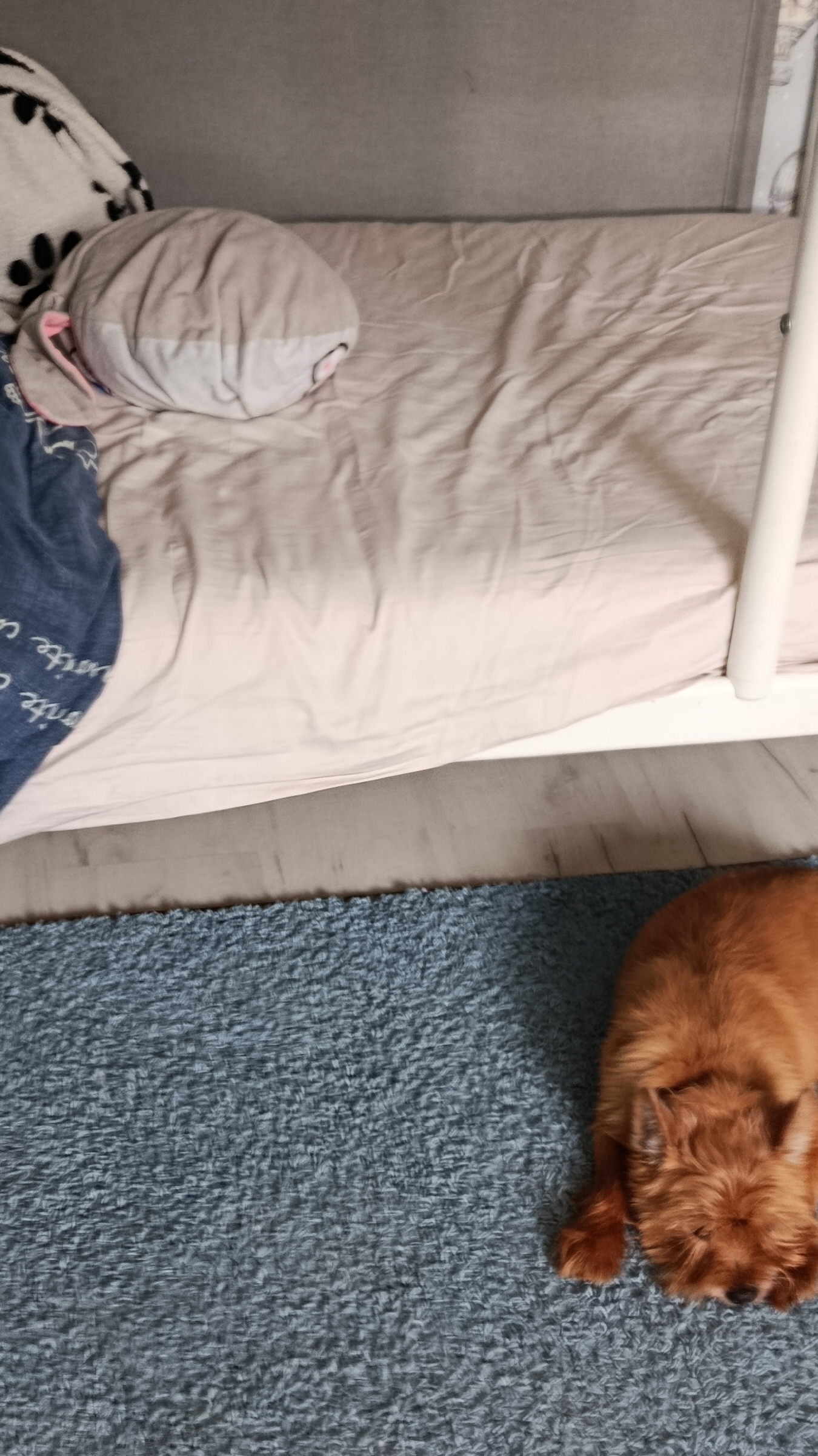 жду смотреть онлайн