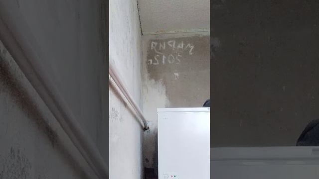 драка за лаки смотреть онлайн