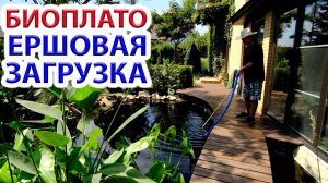 Биоплато 8 ЛЕТ опыта - лучшая фильтрация пруда  - Ершовая загрузка.