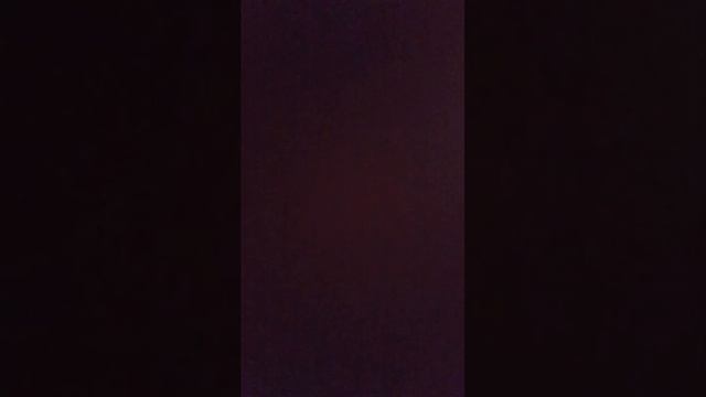 стример первый