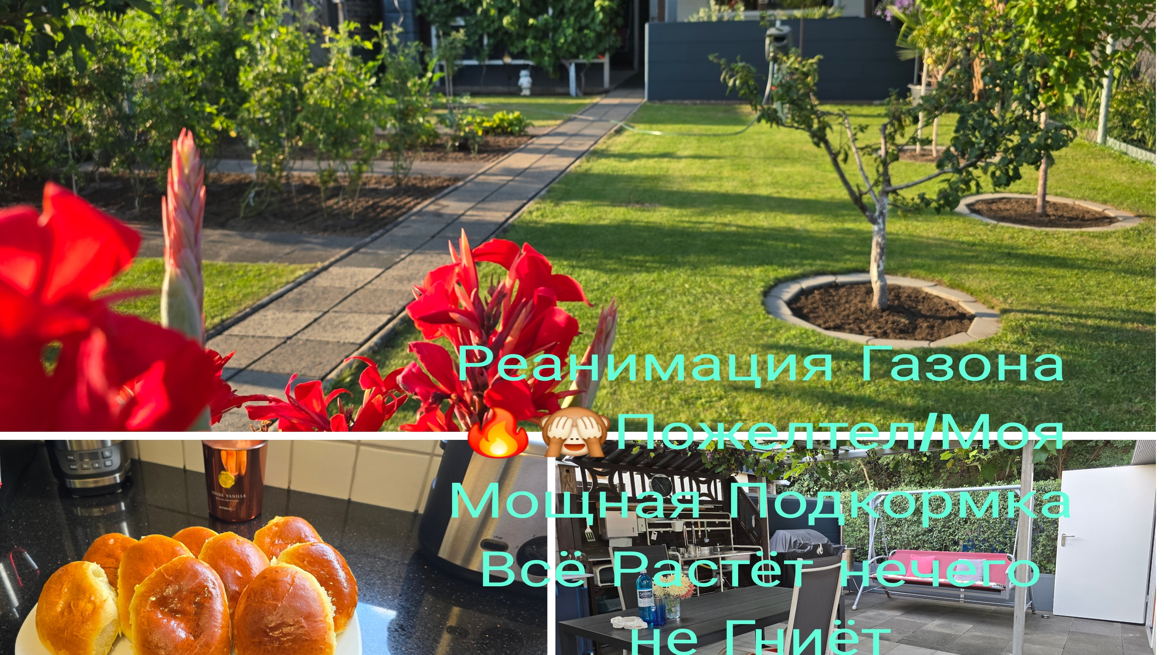 Пышные и Вкусный БУЛОЧКИ с Абрикос /Пику Хрустящие Чебуреки/Спасаю Газон/Дачные Хлопаты смотреть онлайн