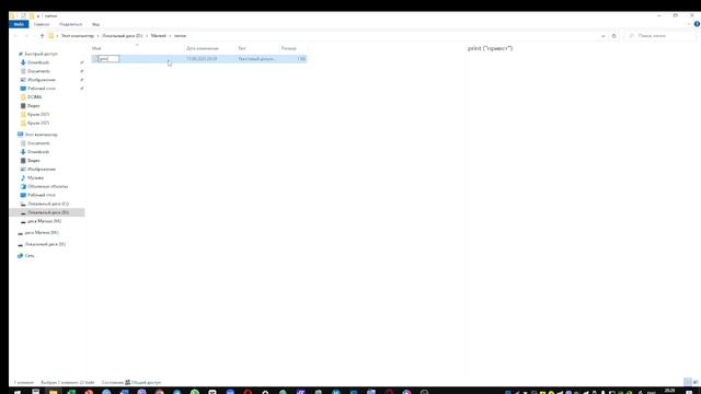 ЯЗЫК ПРОГРАММИРОВАНИЯ PYTHON УРОК 1 смотреть онлайн