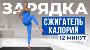 Высокоинтенсивная тренировка - СЖИГАТЕЛЬ КАЛОРИЙ | БЕЗ прыжков и оборудования | 12 МИНУТ