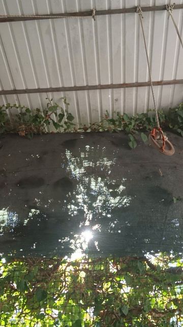 первое видео про это