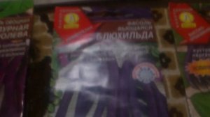 Семена спаржевой фасоли