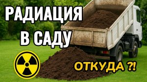 Радиация в саду 🌿😱 ОТКУДА земля?! #радиация #сад #опасность