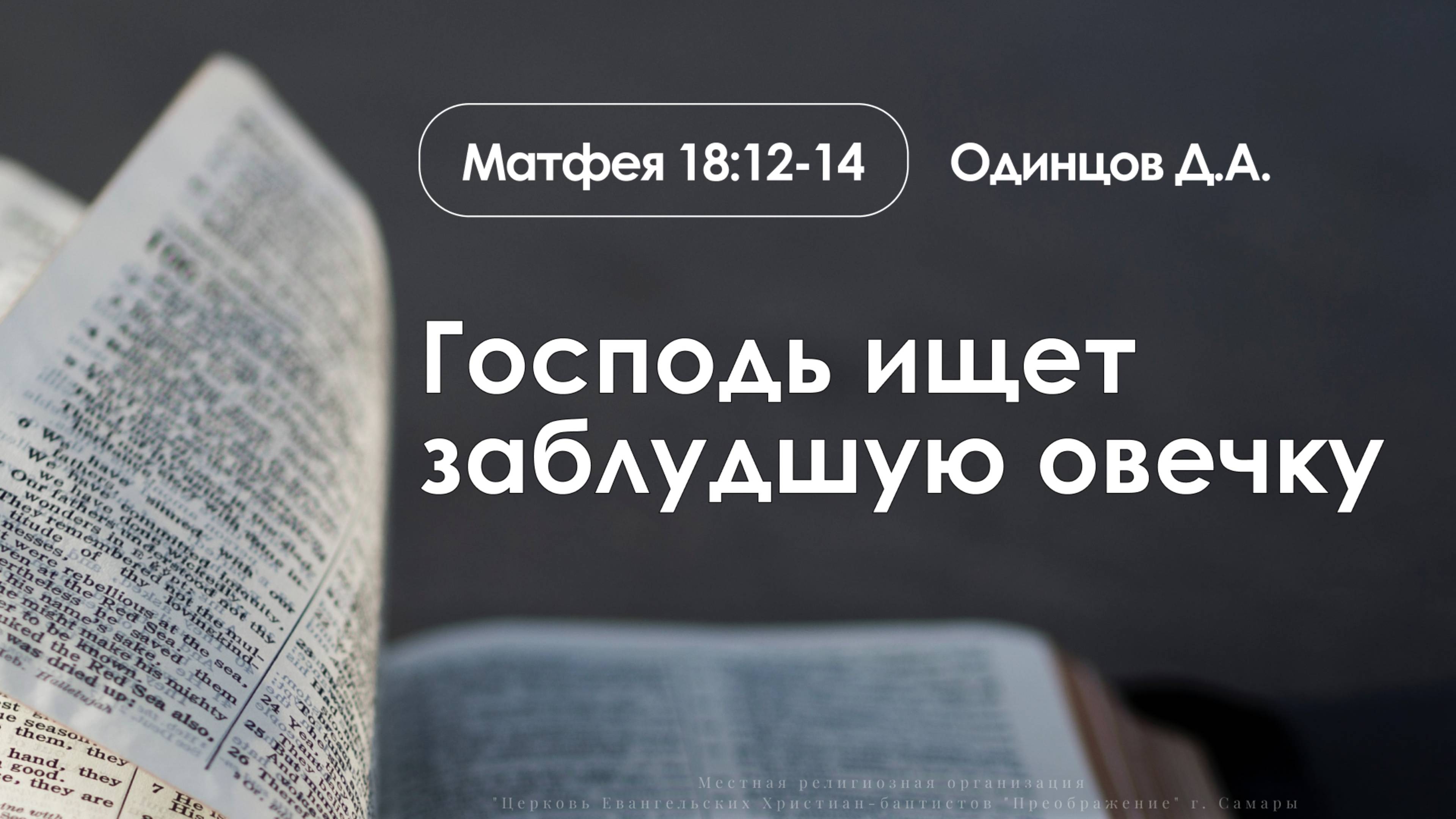 «Господь ищет заблудшую овечку» | Матфея 18:12-14 | Одинцов Д.А.| 17.08.25 смотреть онлайн
