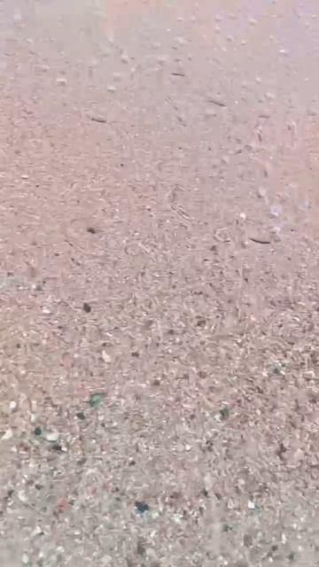 Мальки тусуют под музыку 🐟🐠 / Шарм / Египет / Красное море смотреть онлайн