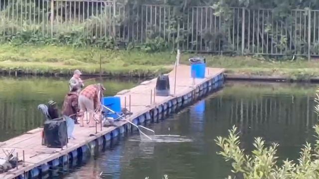 Осетрина смотреть онлайн