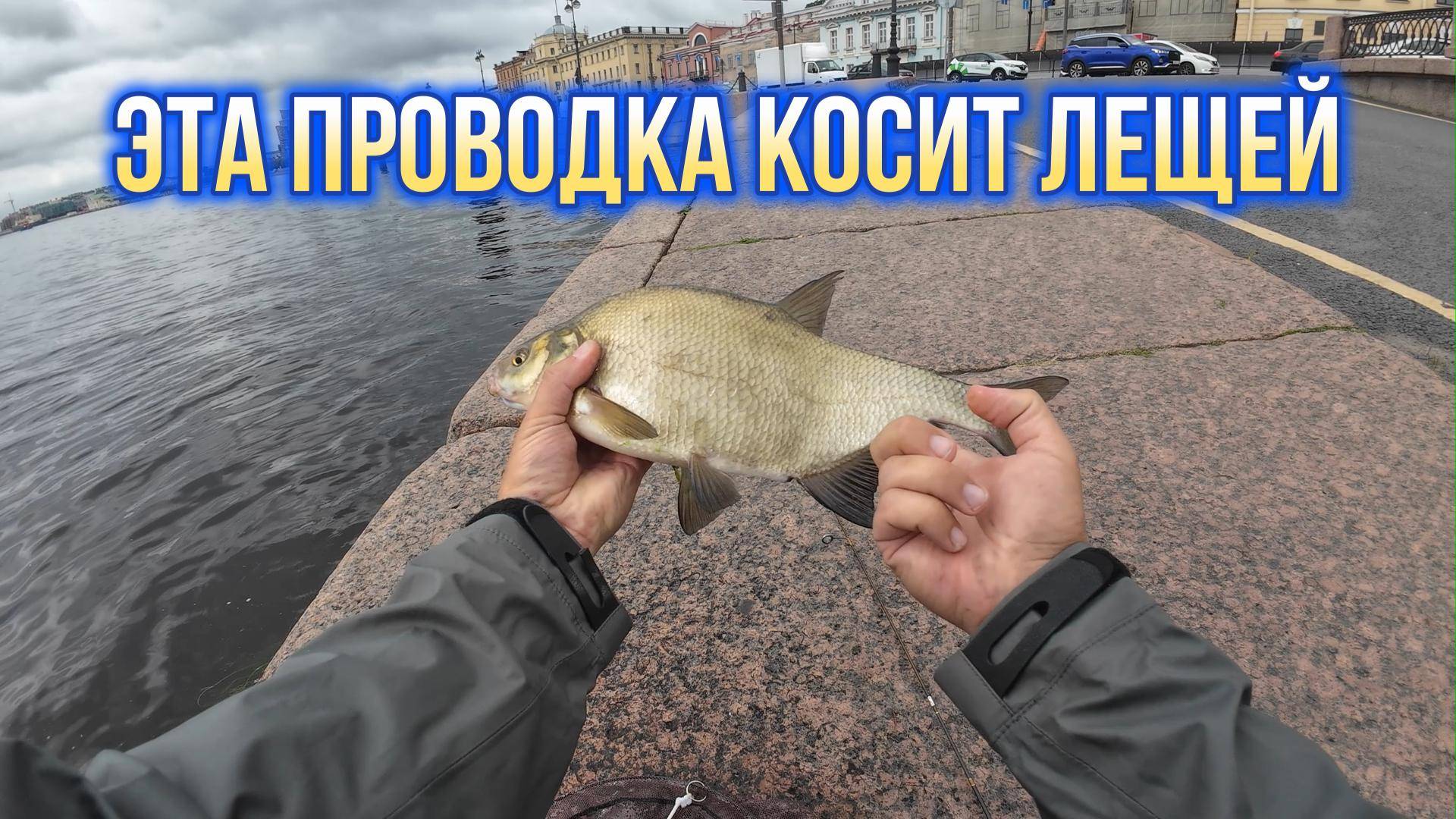 #наноджиг | Подобрал проводку и напорол лещей |