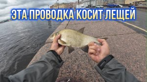 #наноджиг | Подобрал проводку и напорол лещей |