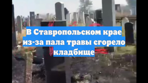 В Ставропольском крае из-за пала травы сгорело кладбище