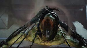 ПОГОНЯ ЗА ЯЩЕРОМ | ЧЕЛОВЕК ПАУК ПРОТИВ ЯЩЕРА | MARVEL’S SPIDER MAN 2 PS5 | ЧЕЛОВЕК ПАУК В ЧЁРНОМ