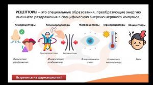 8.1 Общая информация о сенсорных системах