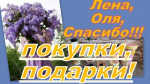 ШИКАРНЫЕ ПОДАРКИ (Лена, Оля, спасибо!),  ИНТЕРЕСНЫЕ ПОКУПКИ!!!