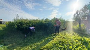 Мы все этого ждали! Уборка на огороде. Урожай будет?! Правильные привычки. Жизнь простых людей.