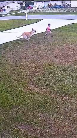 Настоящий друг !