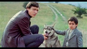 Лучшие фильмы СССР 1981г.