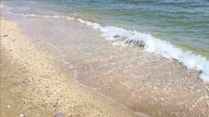 Керчь. Кооп. Азовский, Курортное, бере, море, медузы 18.08.25