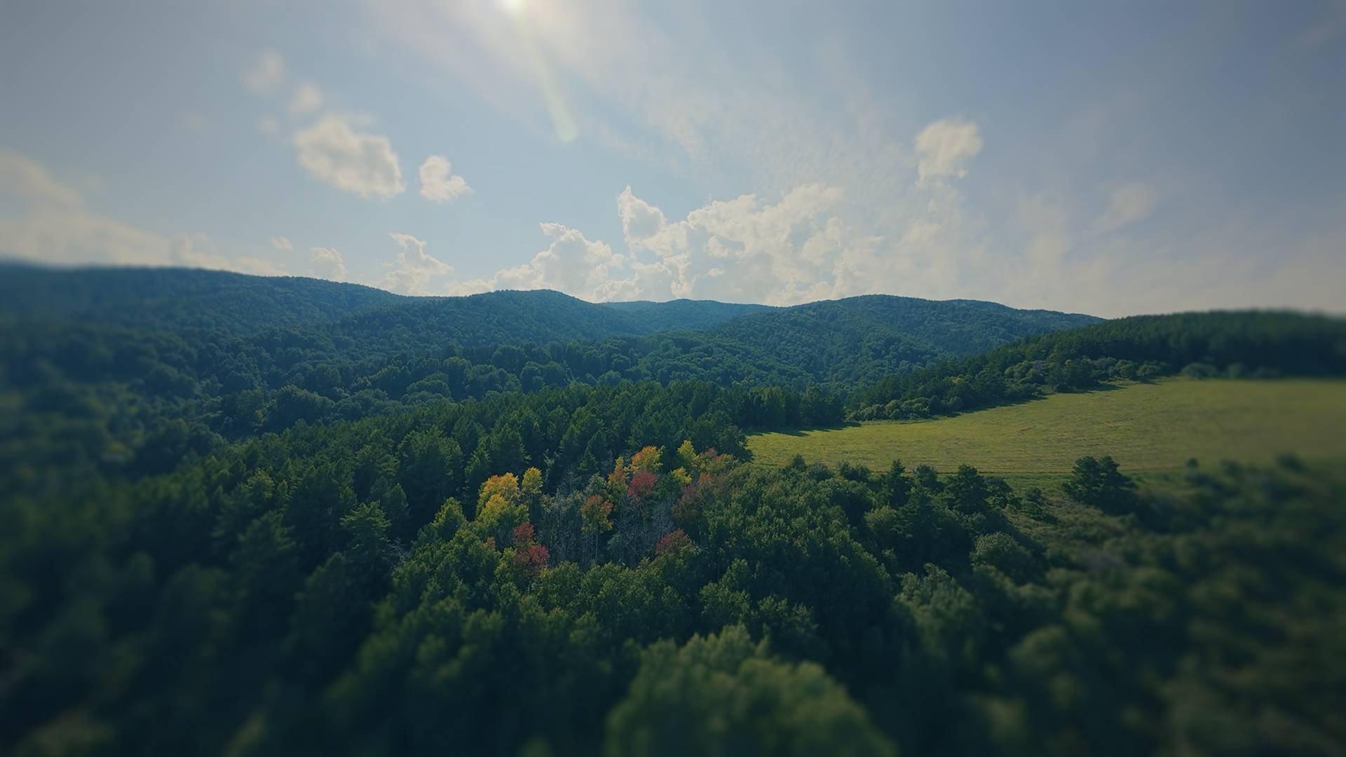 CINEMATIC FPV DRONE | Altay 4K