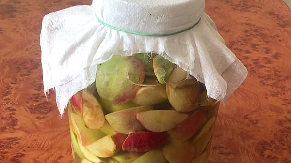 Домашний ЯБЛОЧНЫЙ УКСУС готовим сами. Часть 1. Начальный этап.