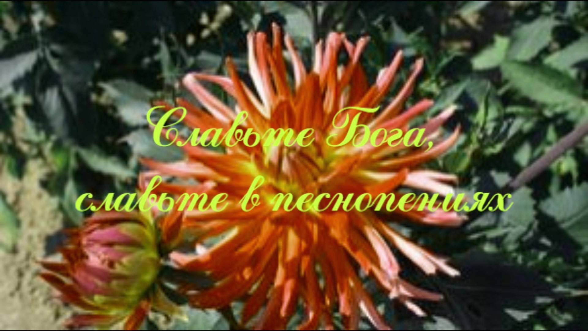 Славьте Бога, славьте в песнопениях смотреть онлайн