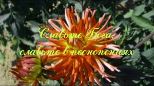 Славьте Бога, славьте в песнопениях