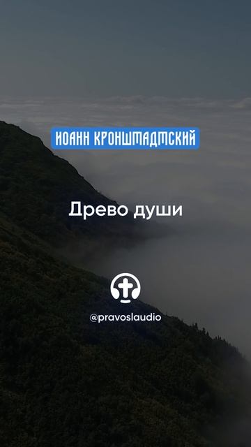 133 Древо души — Иоанн Кронштадтский #Бог #душа #вера #молитва #сердце #любовь #жизнь #мудрость #дух смотреть онлайн