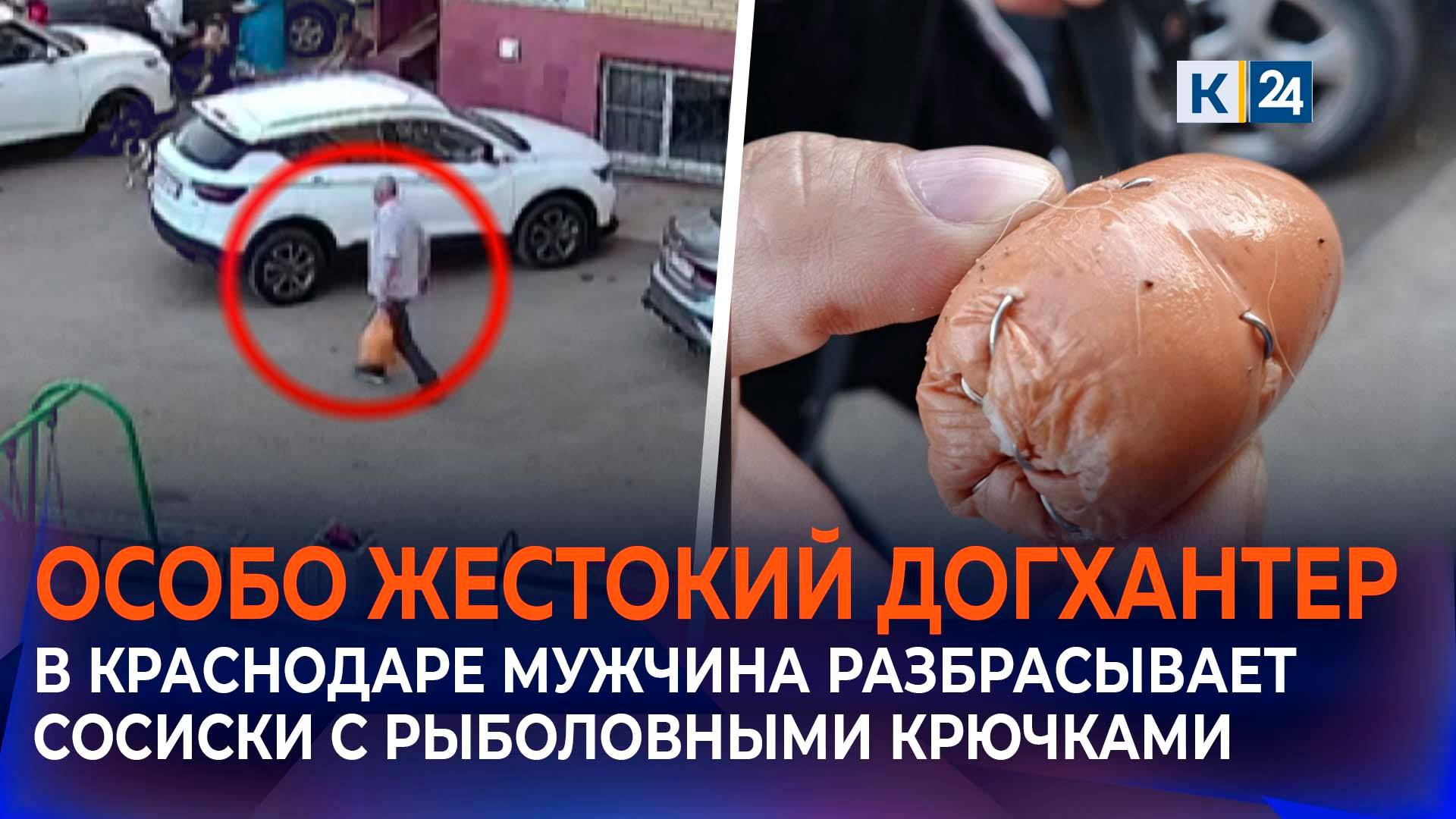 Очевидцы рассказали о догхантере, разбросавшем сосиски с крючками в Краснодаре смотреть онлайн