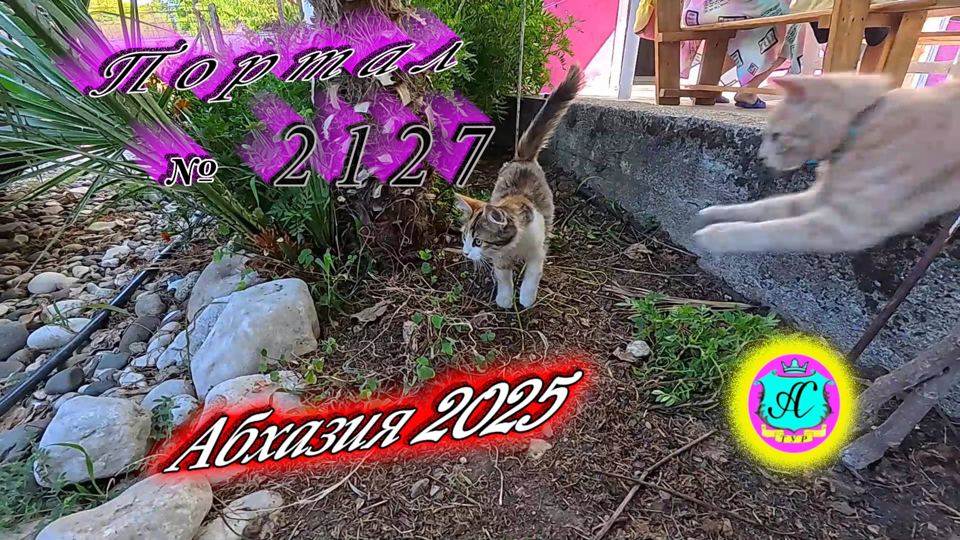 #Абхазия2025🌴 18.08.25г. Выпуск №2127🌡вчера +35°🌡ночью +22°🐬море +27,3❗ смотреть онлайн